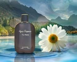 Aqua Elegance Pour Homme Mush Mush -elegant, long-lasting men’s perfume in a sleek 3.4oz designer bottle