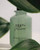 Buy Zest+ vetiver Eau de Parfum for Men – 3.4oz by Michael Malul