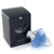 Wish by Chopard 2.5oz Eau De Parfum Spray Women