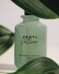 Buy Zest+ vetiver Eau de Parfum for Men – 3.4oz by Michael Malul