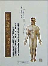 Anatomical Charts of Acupuncture