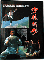 shaolin kung fu