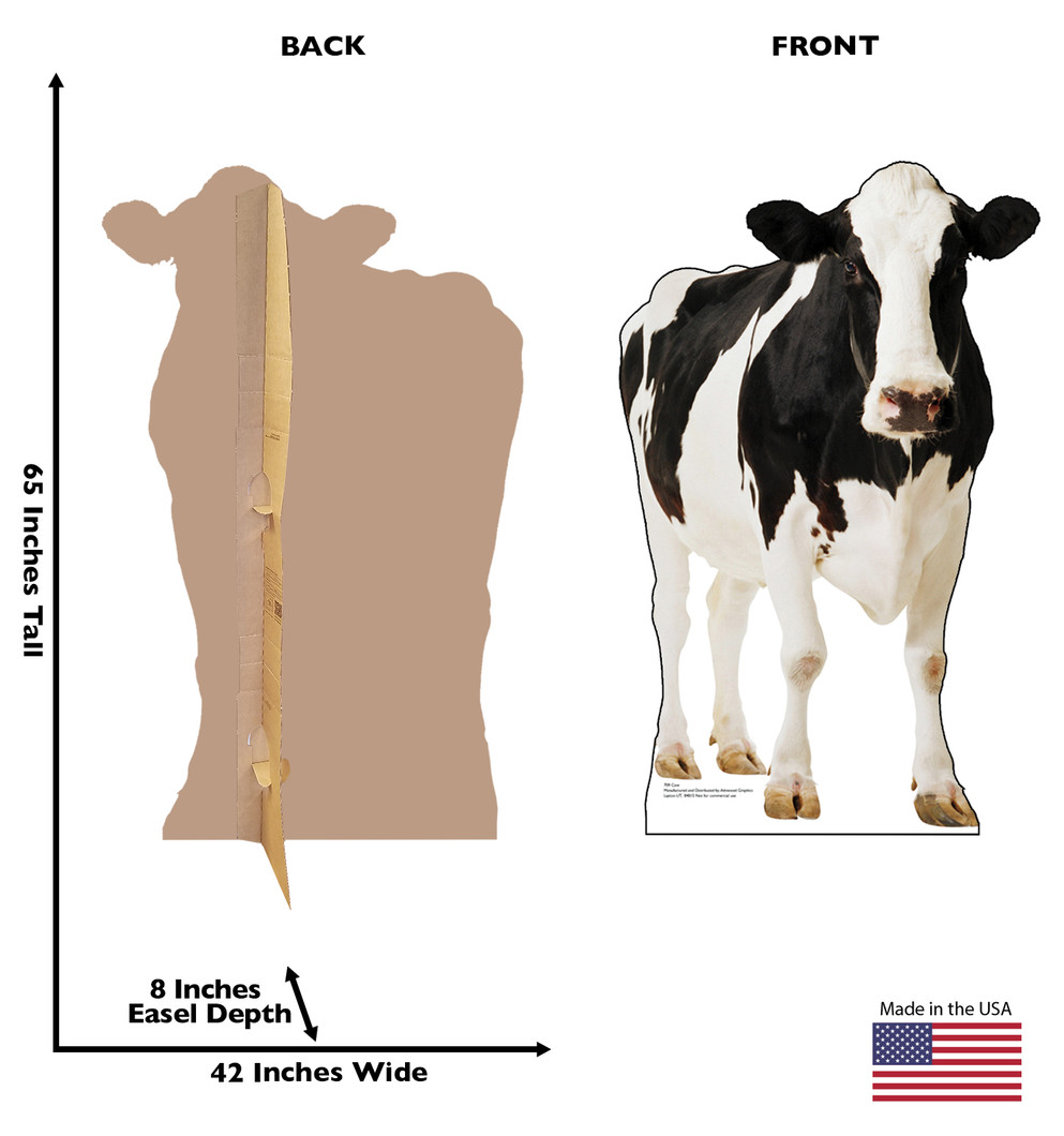 Holstein Cow Lifesize Cardboard Cutout Dimensions