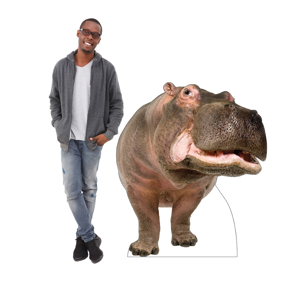 Hippopotamus
Lifesize Cardboard Cutout with Model