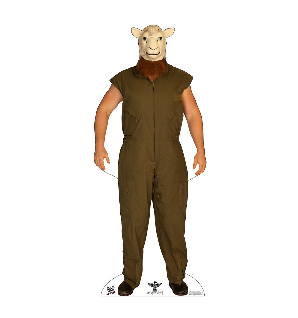 Erick Rowan - WWE