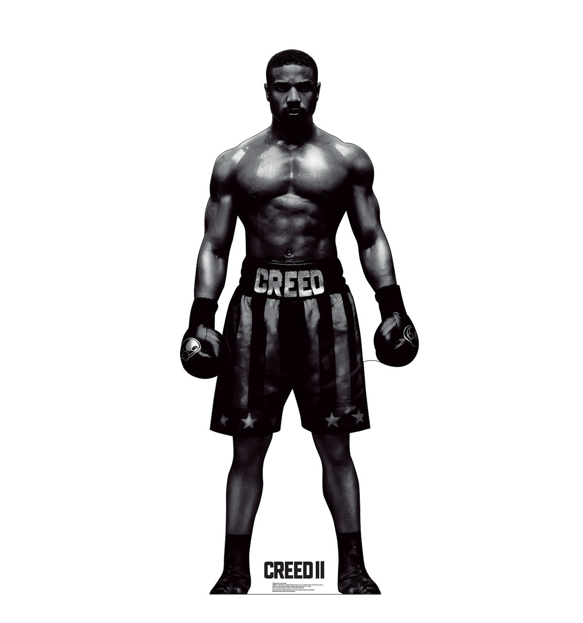 Adonis Creed B W Creed