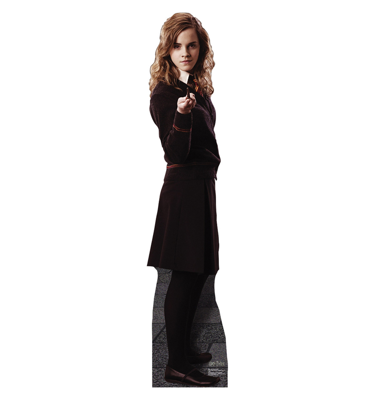 Hermione Granger Harry Potter 