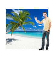 Sunny Tropical Paradise Standup