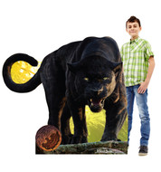 Bagheera - Live Action Jungle Book
Lifesize Cardboard Cutout