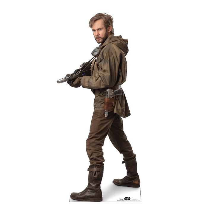 Resistance Trooper (Star Wars IX)