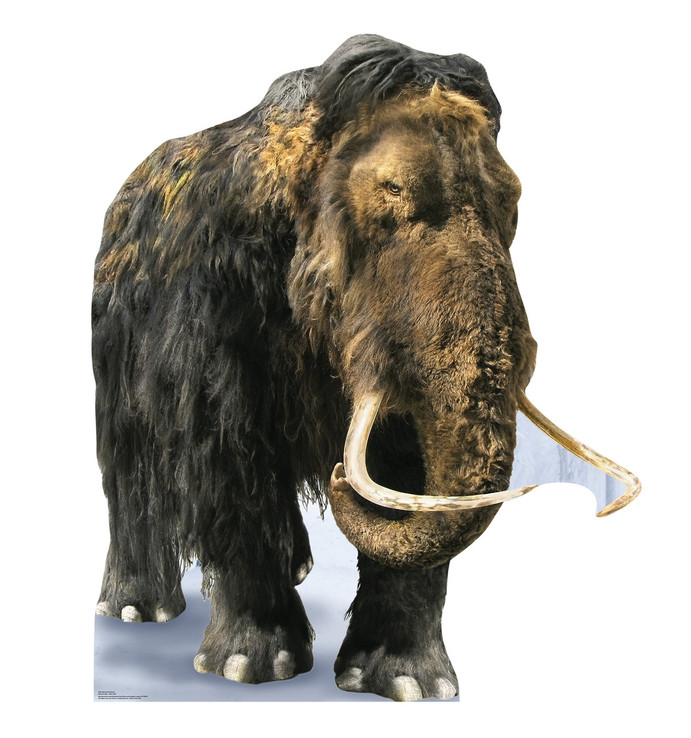 Woolly Mammoth