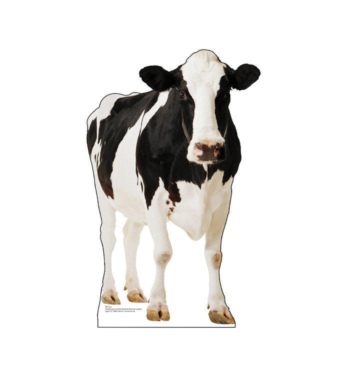 Holstein Cow Lifesize Cardboard Cutout