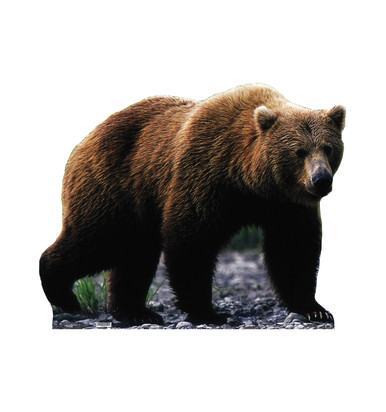 675_Bear__20408.1735829596.386