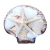 White Shell Pack