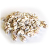 Small Babylonia Shells