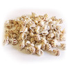 Small Babylonia Shells