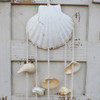 Scallop Shell Chime Close Up