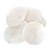 Large Capiz Shells
