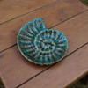 Nautilus Shell Dish