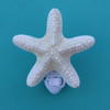 White Sea Star Night Light