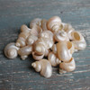 Small Pearl Turbos