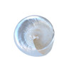 Whorl Shell