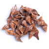 Fox Seashells