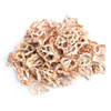 Sliced Bursa Shell