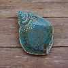 Seashell Plate