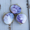 Purple Seashell Coin Purse