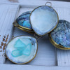 Seashell Coin Purse