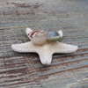 Jungle Starfish Collage Magnet 3-4"