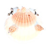 Shells for Legs