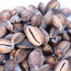 Snakehead Cowrie Seashells - Rough Grade - 1 lb
