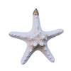 Small White Thorny Starfish Glitter Ornament