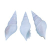 White Tibia Seashell 4"