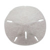Large Keyhole Sand Dollar Glittered Christmas Ornament