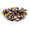 Seashell Turtles