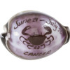 Cancer Carved Cowrie