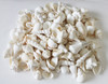 Large All White Shell Mix