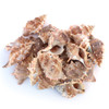 Bursa Shell