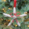 White Finger Starfish Evergreen Ornament