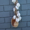 White Clam Shell Garland
