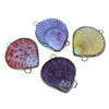 Colorful Pectin Shell Coin Purse