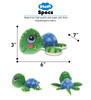 Sea Turtle Measurements