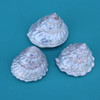 Pearl Wavy Top Turban Seashells