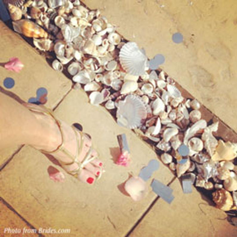 Seashells Featured at Brides Live Wedding Seashells Featured at Brides Live Wedding