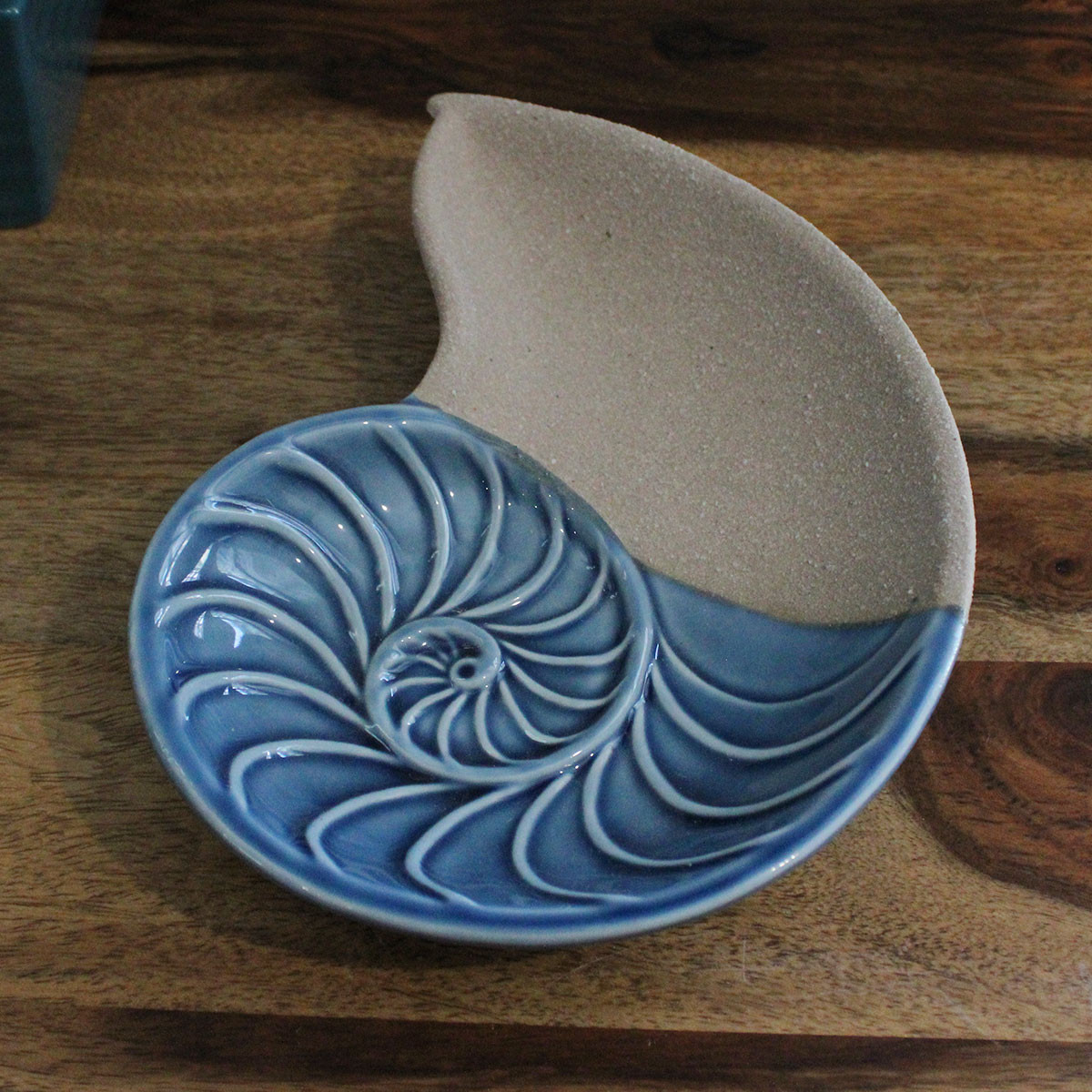  Nautilus collection 貝殻 小物入れ Ceramic Nautilus Shell Jewelry Holder - Coastal Wedding Favor