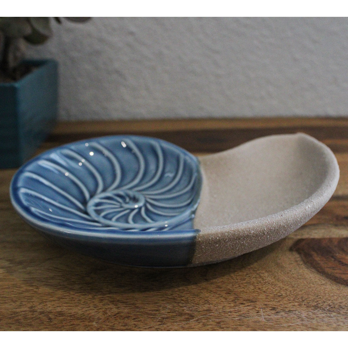  Nautilus collection 貝殻 小物入れ Nautilus Seashell Print Marquetry Box - Medium – Broken English