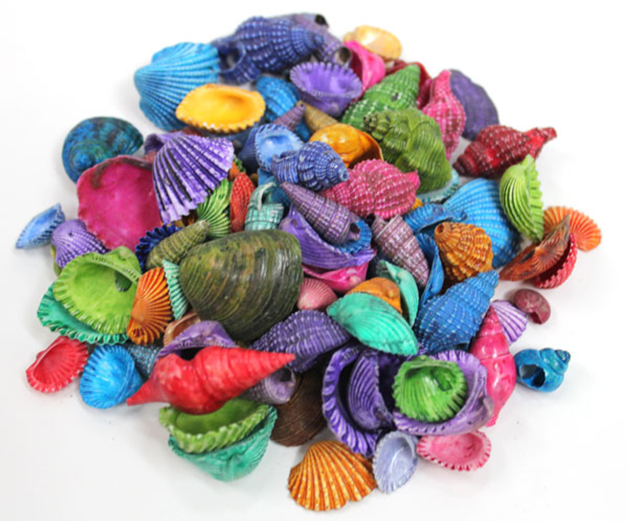 Wholesale case of 10 gallons small bulk mixed seashells for crafts